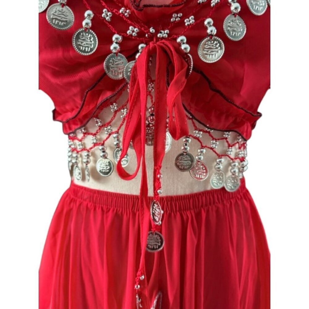 Belly Dance Costume Top Silver Coins Sequence Skirt Suit Set Size S/M Halloween - Picture 7 of 14